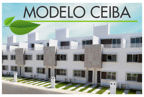 ceiba