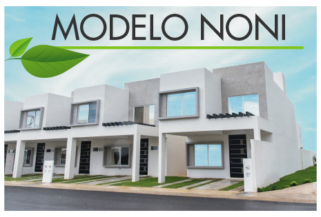 noni
